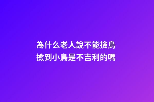 為什么老人說不能撿鳥 撿到小鳥是不吉利的嗎